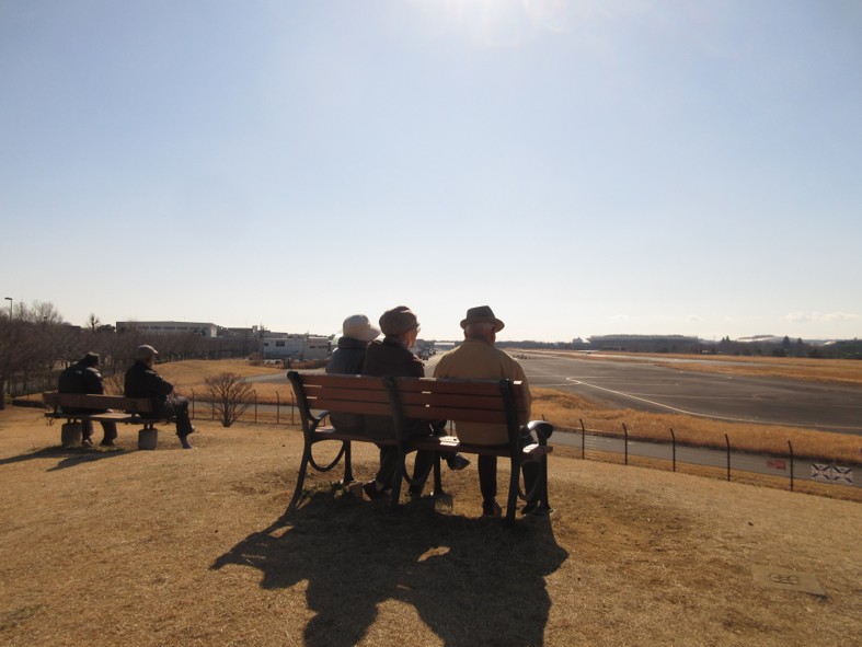 公園の丘からの眺め